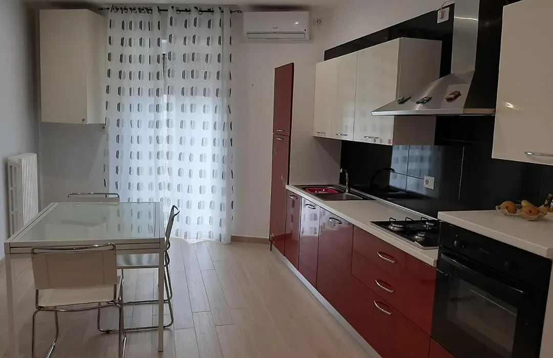 Gattini 48-1