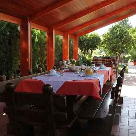 B&B Solacium-3
