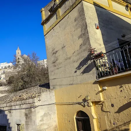 Ulivo Nella Corte-2