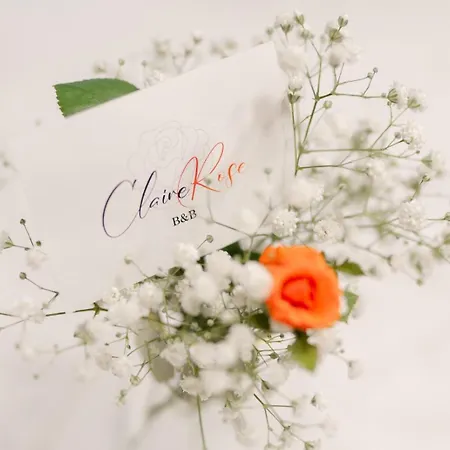 Claire Rose B&B-3